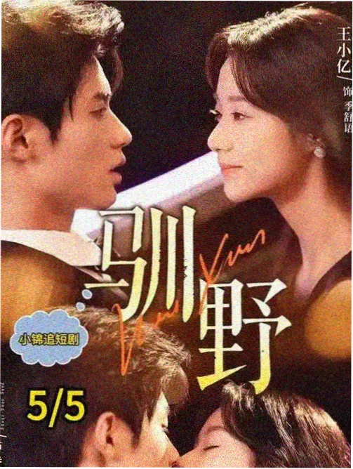EVA Q剧场版 新世纪福音战士新剧场版Q 海报